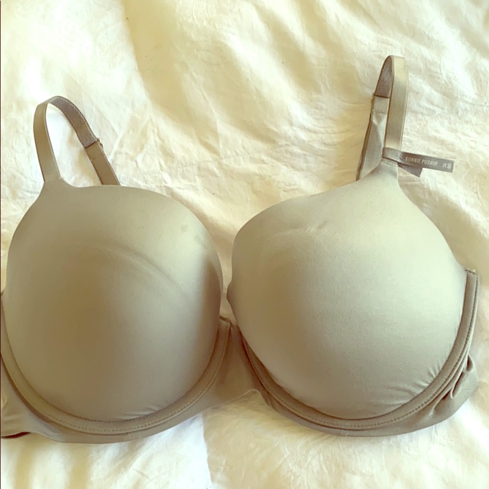 Aerie Sunnie Push-up 36DD